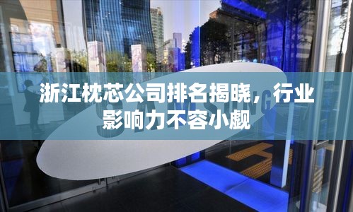 浙江枕芯公司排名揭晓，行业影响力不容小觑