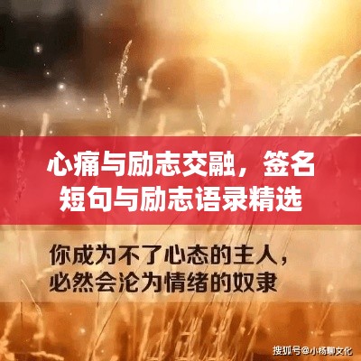 心痛与励志交融，签名短句与励志语录精选