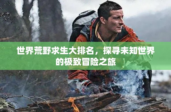 世界荒野求生大排名，探寻未知世界的极致冒险之旅