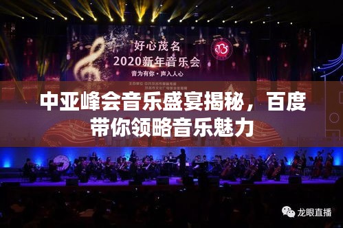 中亚峰会音乐盛宴揭秘，百度带你领略音乐魅力