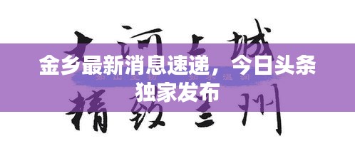 金乡最新消息速递，今日头条独家发布