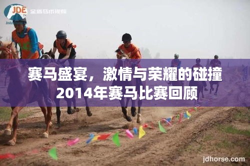 赛马盛宴，激情与荣耀的碰撞 2014年赛马比赛回顾