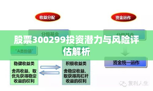 股票300299投资潜力与风险评估解析