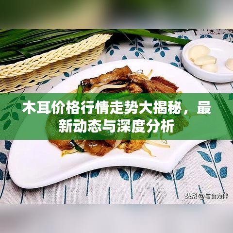 木耳价格行情走势大揭秘，最新动态与深度分析