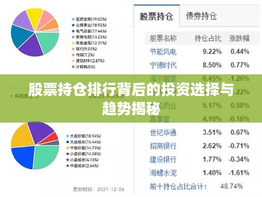 股票持仓排行背后的投资选择与趋势揭秘