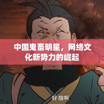 中国鬼畜明星，网络文化新势力的崛起