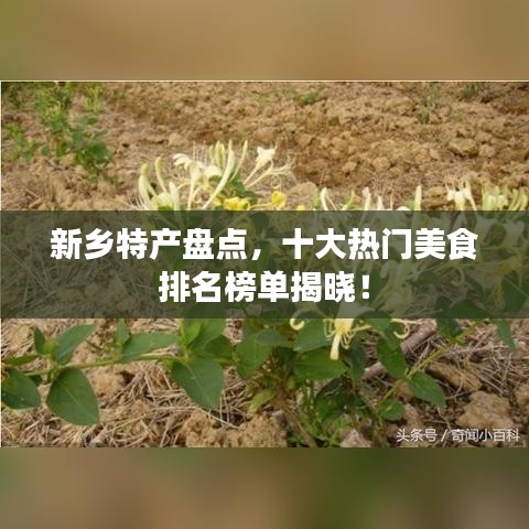 新乡特产盘点，十大热门美食排名榜单揭晓！