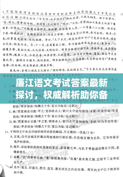 廉江语文考试答案最新探讨，权威解析助你备考成功