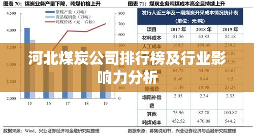 河北煤炭公司排行榜及行业影响力分析