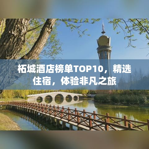 柘城酒店榜单TOP10，精选住宿，体验非凡之旅