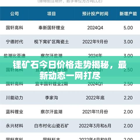锂矿石今日价格走势揭秘，最新动态一网打尽