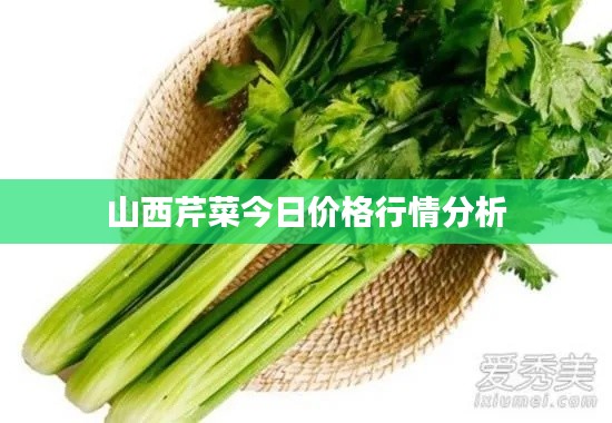 山西芹菜今日价格行情分析