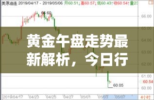 黄金午盘走势最新解析，今日行情分析报告