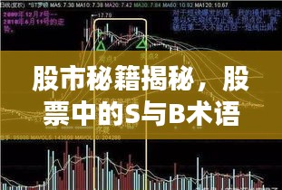 股市秘籍揭秘，股票中的S与B术语深层解析