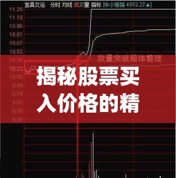 2025年2月26日 第5页