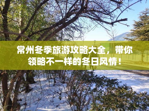 常州冬季旅游攻略大全，带你领略不一样的冬日风情！