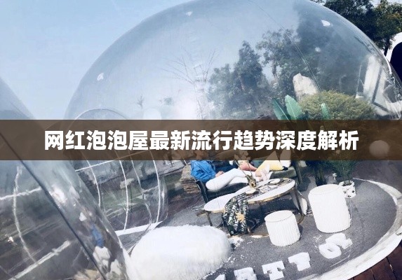 网红泡泡屋最新流行趋势深度解析