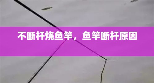 不断杆烧鱼竿，鱼竿断杆原因 