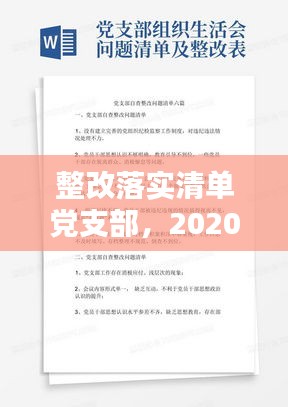 整改落实清单党支部，2020年度党支部整改清单 