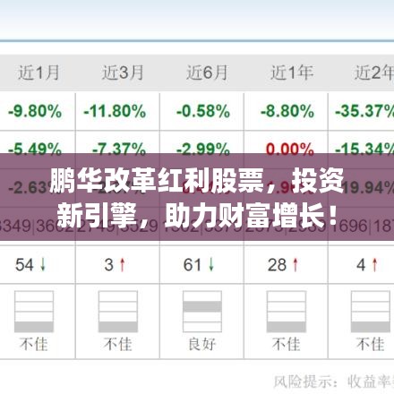 鹏华改革红利股票，投资新引擎，助力财富增长！