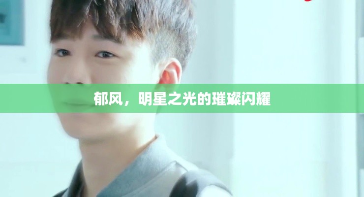郁风，明星之光的璀璨闪耀