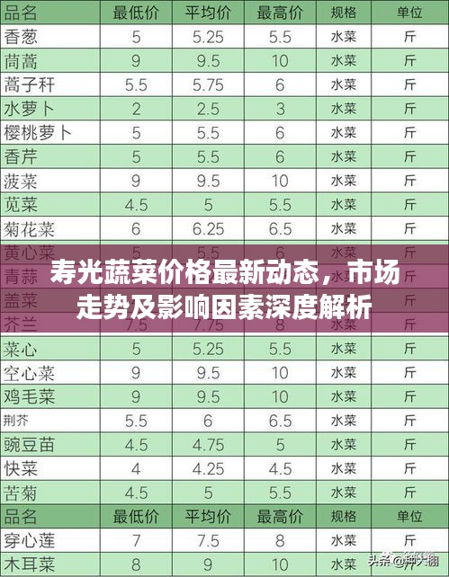 寿光蔬菜价格最新动态，市场走势及影响因素深度解析