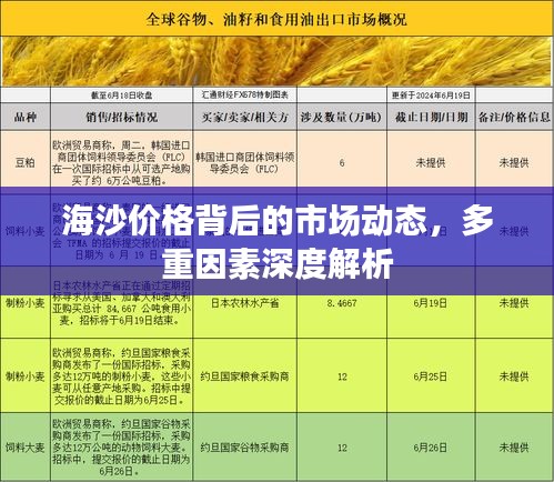 海沙价格背后的市场动态，多重因素深度解析