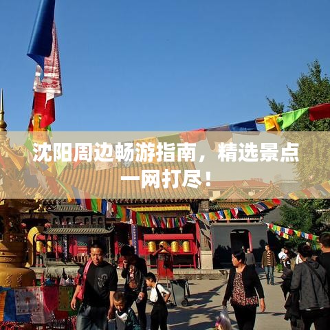 媒体报道
