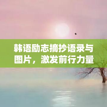 韩语励志摘抄语录与图片，激发前行力量的心灵驿站